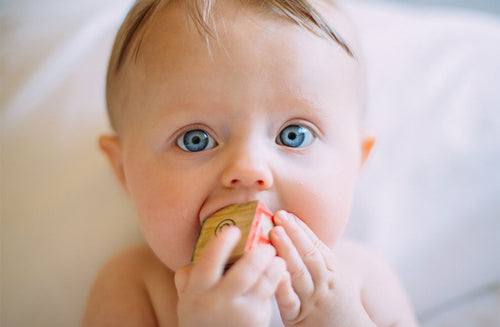 There’s No Place Like Home for Babies to Pick Up Toxins